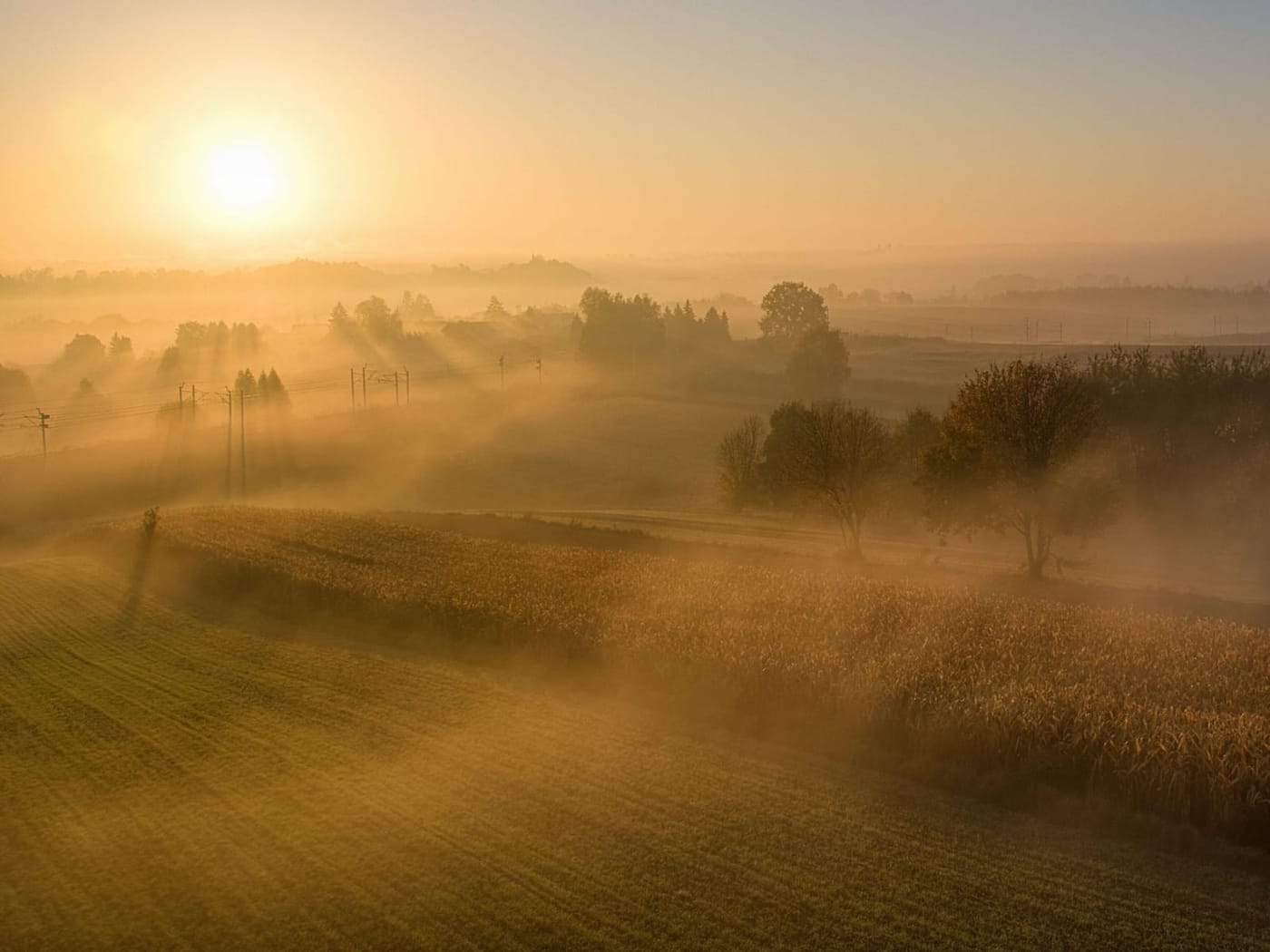 Felder im Morgennebel